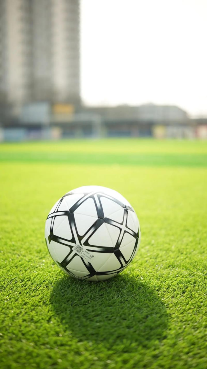 任选九场奖金数据分析图表