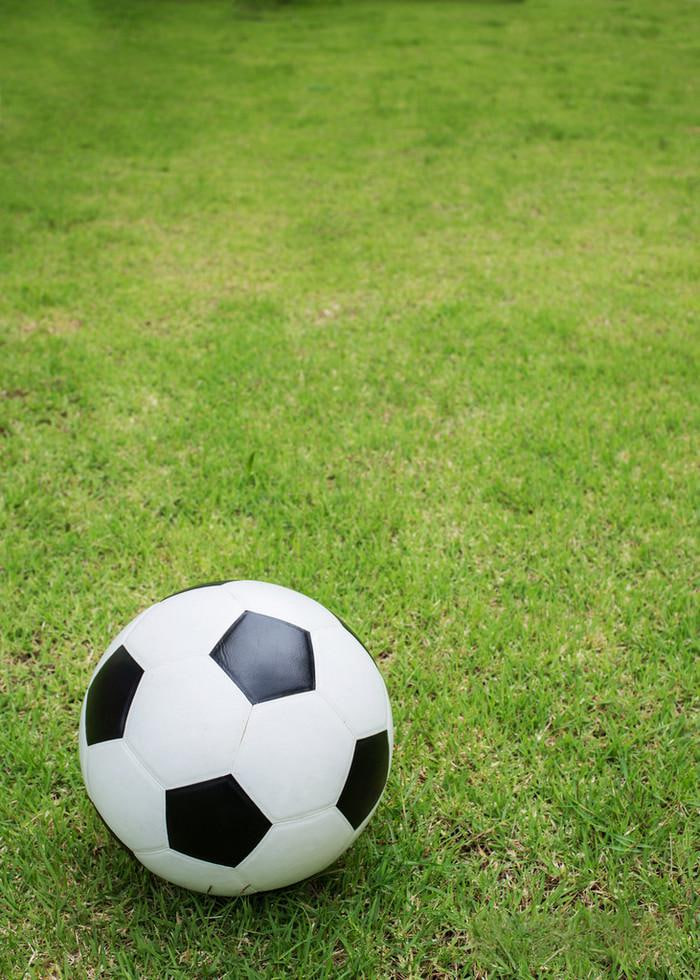 任选九场奖金查询流程图示